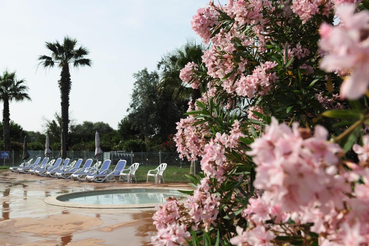 ארל Belambra Clubs Residence Le Grau Du Roi - Le Vidourle מראה חיצוני תמונה